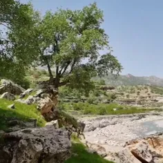 طبیعت زیبای استان ایلام