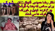 این کلیپ حاوی مطالب غیر اخلاقی است وبرای کودکان مناسب نیست