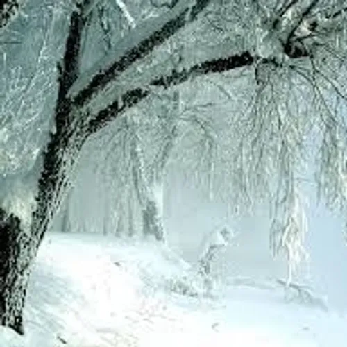 ❄❄ دلم یک زمستانِ جانانه می خواهد ...