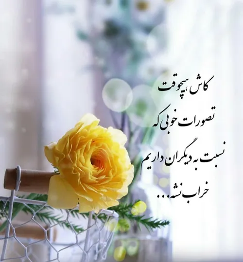 کاش هیچوقت تصورات خوبی که