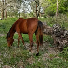 سلام بر کسانی که