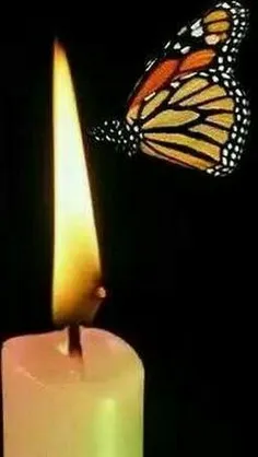 #از شمع شنیدم گفت: پروانه شدن درد است