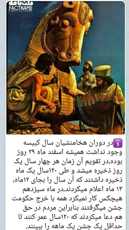  farhadhomeyra 51197449 - عکس ویسگون