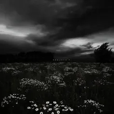 رو این بشر کراش زدم کلا هم پیجمو کوبیدم از نوع ساختم
