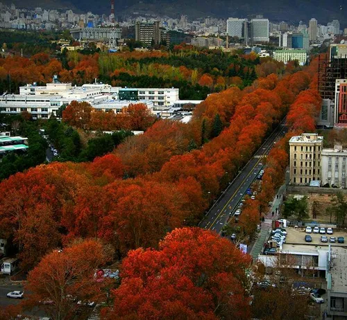 تصویری زیبا از خیابان ولیعصر و درختان خزان زده در تهران ک