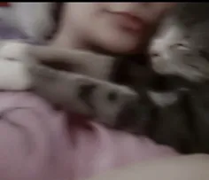 کاش ادما گربه بودن🚶‍♀️🐈