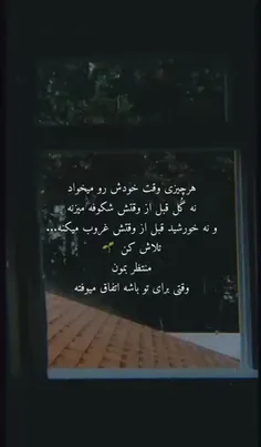 تلاش کن 