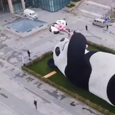 مجسمه پاندا غول پیکر در چنگدو، چین.

