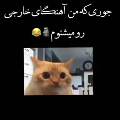 دقیقا 🤣🤣