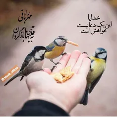 آمین