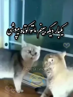 بفرست برای کسی که اینجوری غیرتی..😂❤️ دوستان لایک کنن ❤️🙏🏻