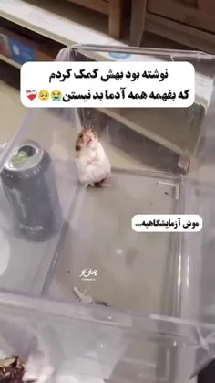 حیوونی دلم براش خیلی خیلی سوخت😭😭😭