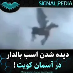 واقعا اسب بالدار؟؟ مگه وجود داره