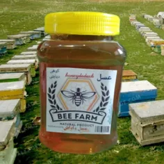 عسل کوهی دیابتی مستقیم از زنبور دار