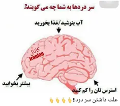 جالبه