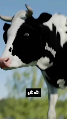 مطالب علمی☝🏻