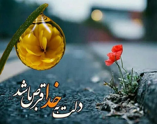 امیدت فقط به خدا