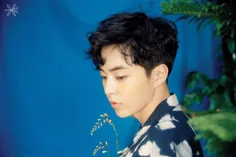 #xiumin