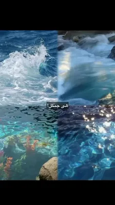 ترکیبشوننننن🌊🌱