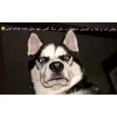 😂😂والا بخداا