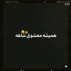 همیشه معشوق شاهه🐾🌙💙