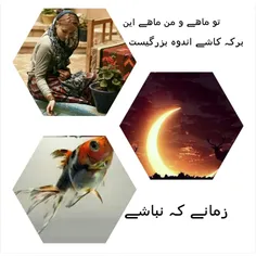 ↫🐬 گاهے  آنقدر از زندگے سیر میشوم 🐡 🐟 