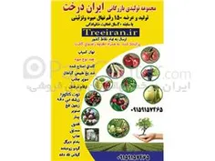 مهندس زردادی،ایران درختtreeiran.ir