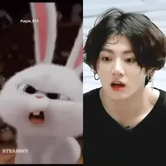 bunny +jungkook 