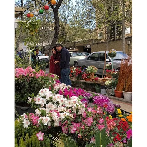 A couple are choosing fresh flowers at a florist's on the