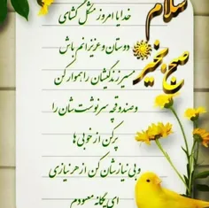 #باران ❣روزتون معطر به بوی مهربانی🌼🍃