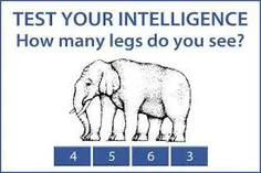چند تا پای فیل میبینید؟