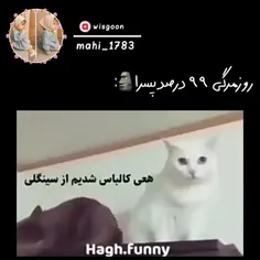 چق منع