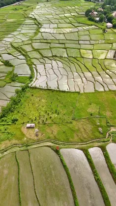 Gilan, Where the Land Breathes Peace ☘️