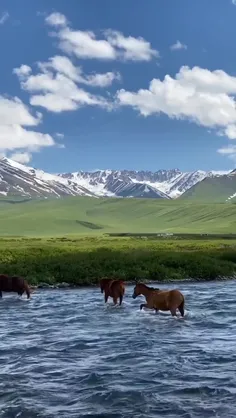 چه زیبا دستانم را ول کردی در این رودخانهِ 