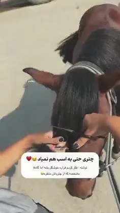 چتری حتی به اسب هم نمیاد😁😁😂