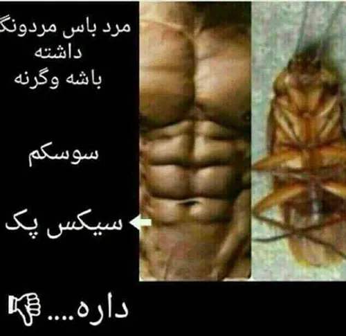 مرد باید مردونگی داشته باشه...