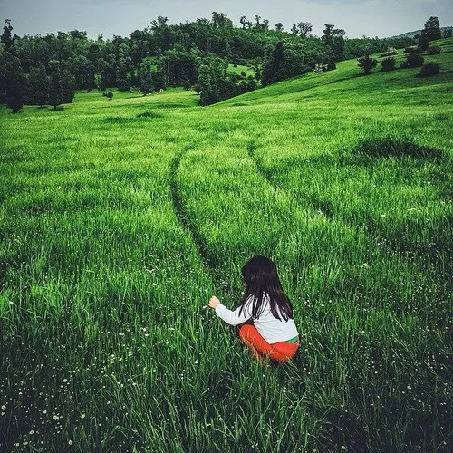 A girl picking a wild flower from a meadow at Gilan, Iran