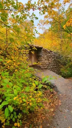 پاییز را باید روی چشم گذاشت🍁🍂