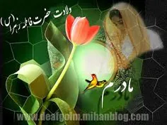 گوناگون sadegh.gorjian 5281425