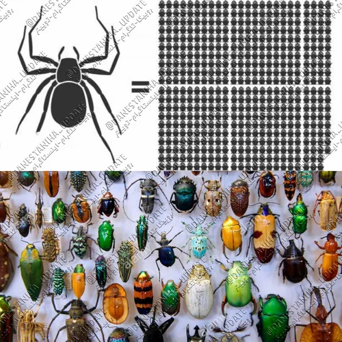 تعداد حشرات سراسر دنیا 10 کوانتیلیون است. به عبارت دیگر، 
