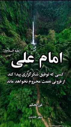 امام علی علیه السلام 