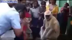 ۳۰ میلیون هندی میمون می پرستند...
