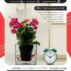 گلدان آکواریوم فانتزی 7Green