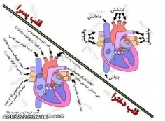 هههههه