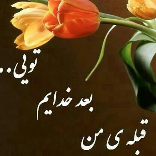 بی تو با خاطره هایت چه کنم...