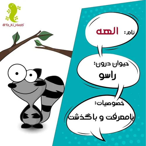 سفارشی الهه راسو