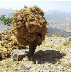 برشی از زندگی مردمان کورد