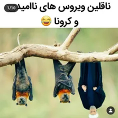 همه خااابن؟؟