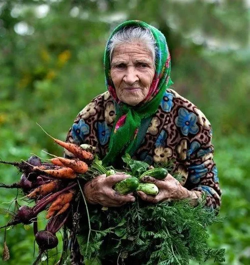 امروز ۱ اکتبر ‏روز جهانی سالمندان هست این روز رو رو به تک