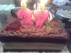 کیک تولد ۲۷سالگیم . چه زود میگذره روزگار